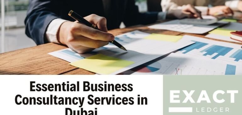 Essential Business Consultancy Services in Dubai